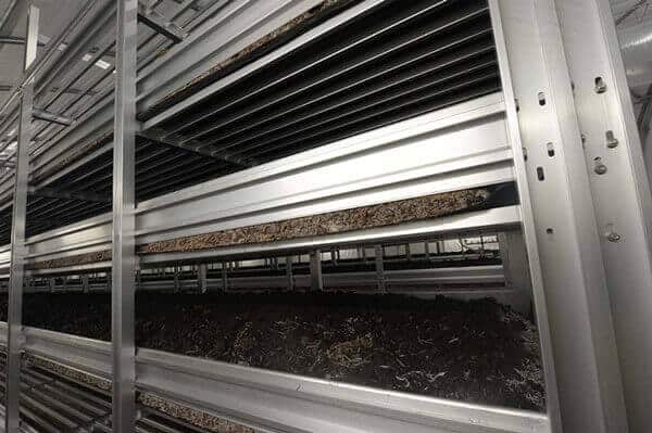 mushroom growing rack 3