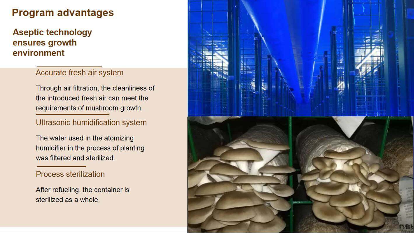 shipping container mushroom farm 6