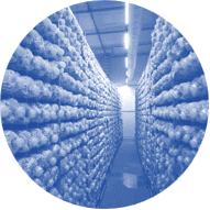 shipping container mushroom farm icon 1