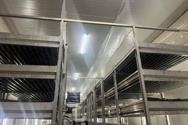 mushroom growing rack 17